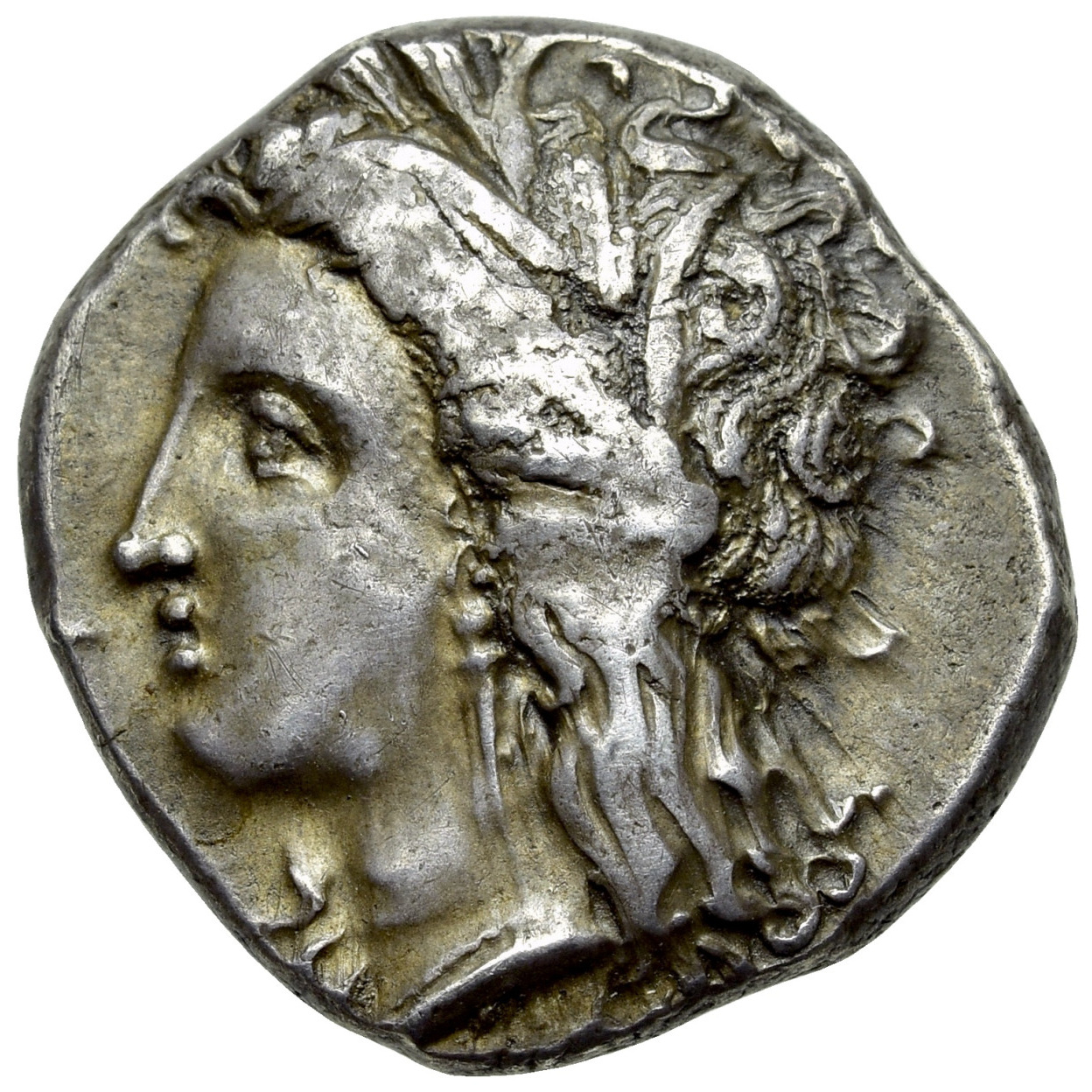 Obverse of coin related to Metapontum: The Barley Ear and Demeter