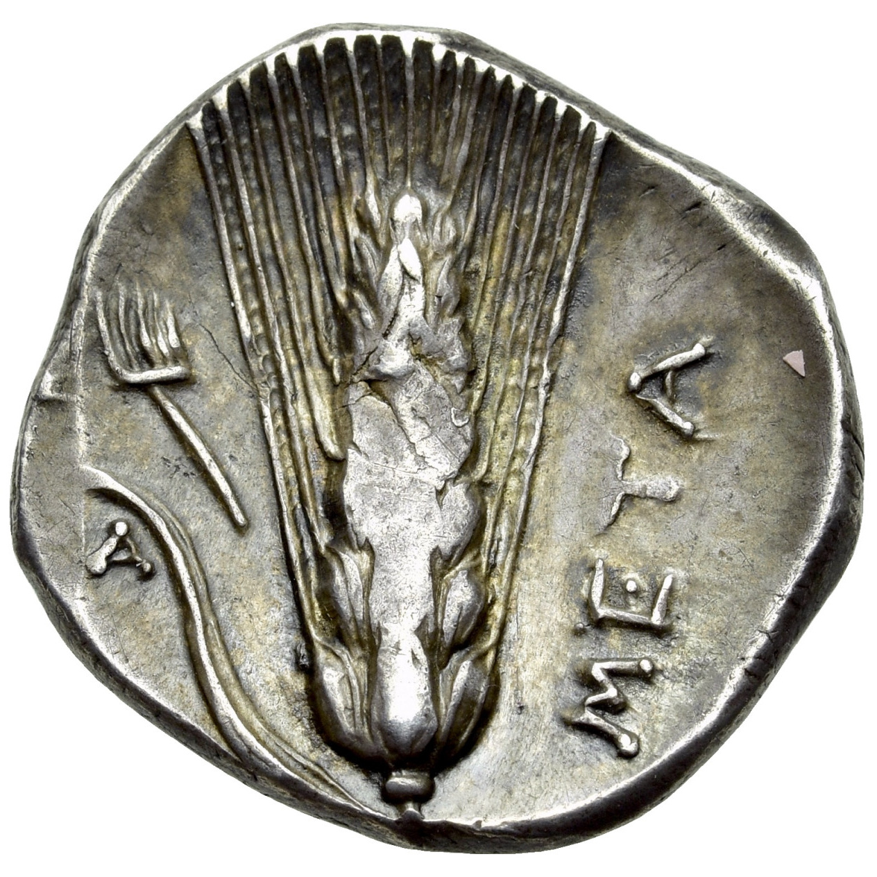 Reverse of coin related to Metapontum: The Barley Ear and Demeter